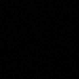 Meet your Posher, Martha